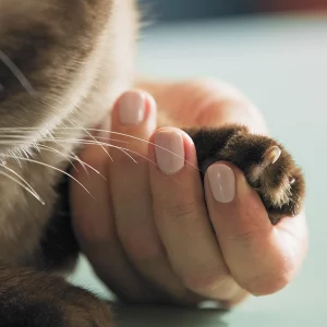 BarkBalance Nutrition